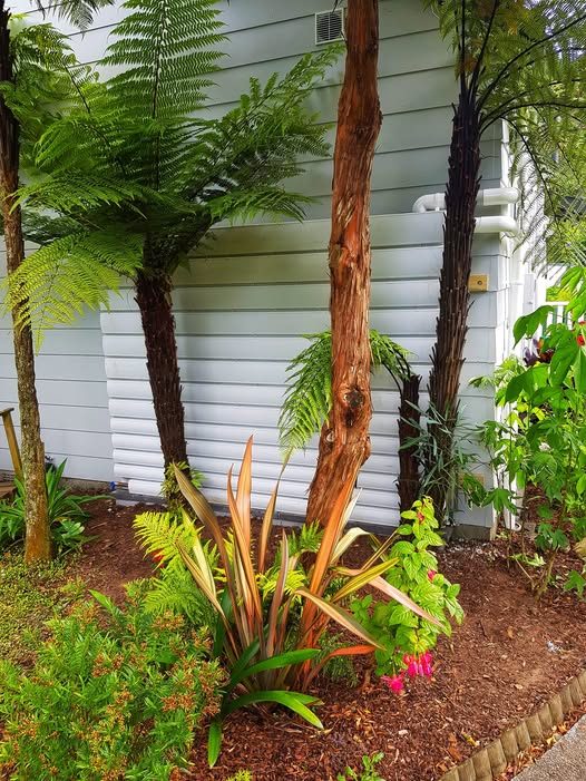 PlumbSpec water tank install on a Wellington property